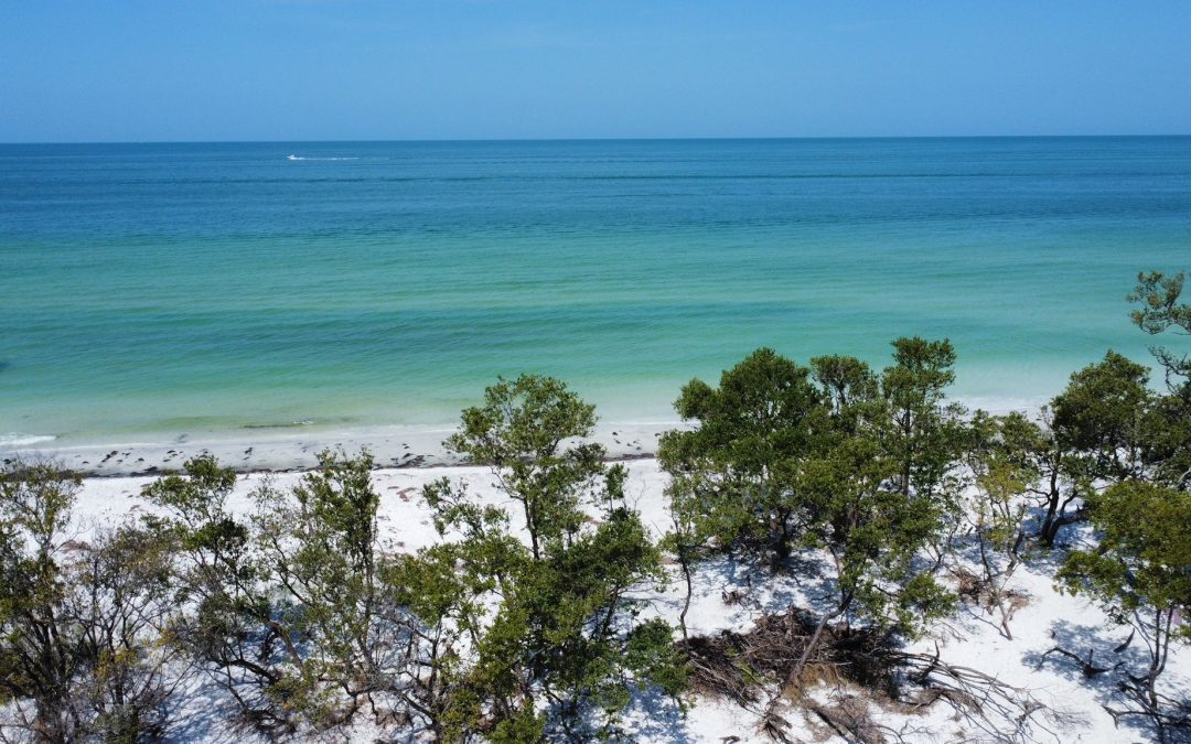 North Anclote Key