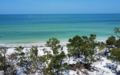 North Anclote Key