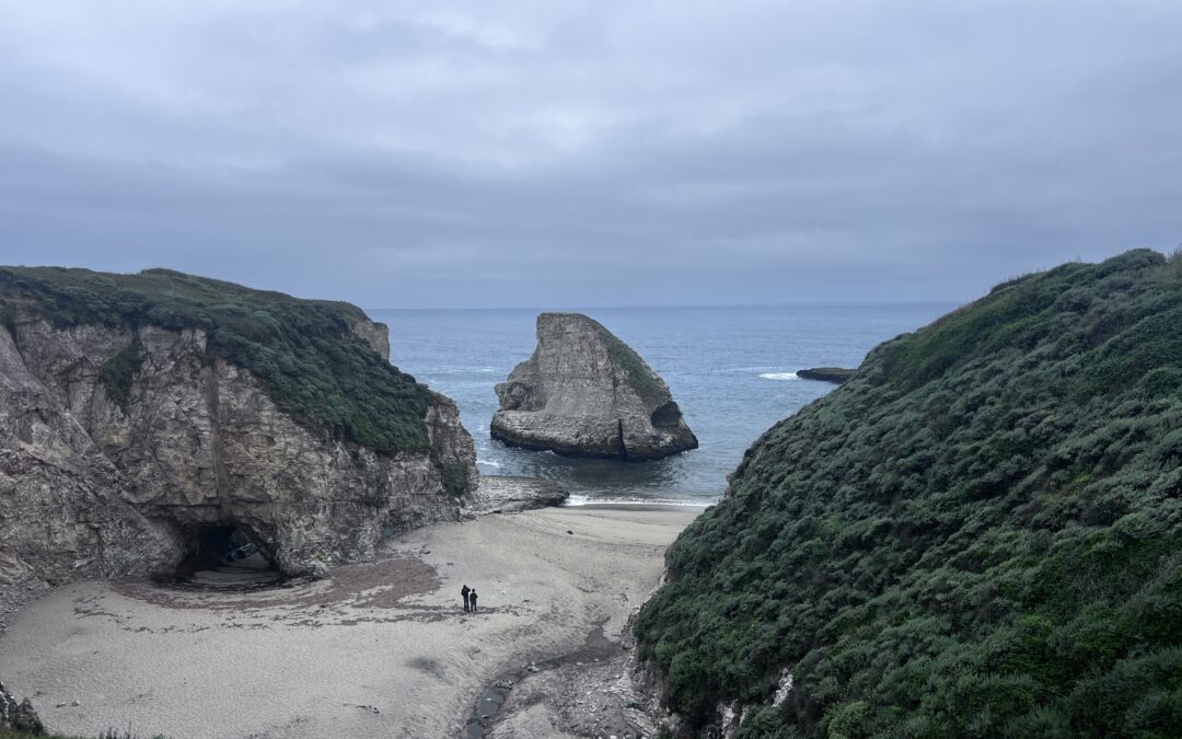 California Road Trip: Shark Fin Cove